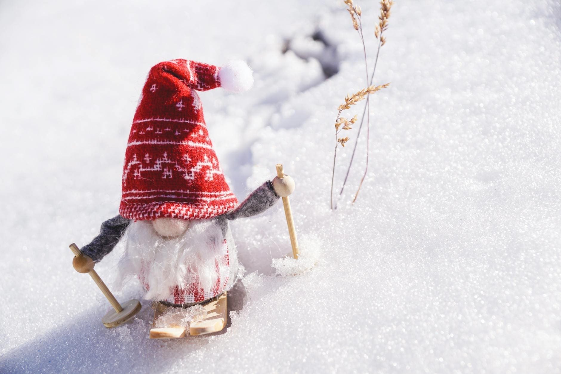 A garden gnome doll snow skis downhill.