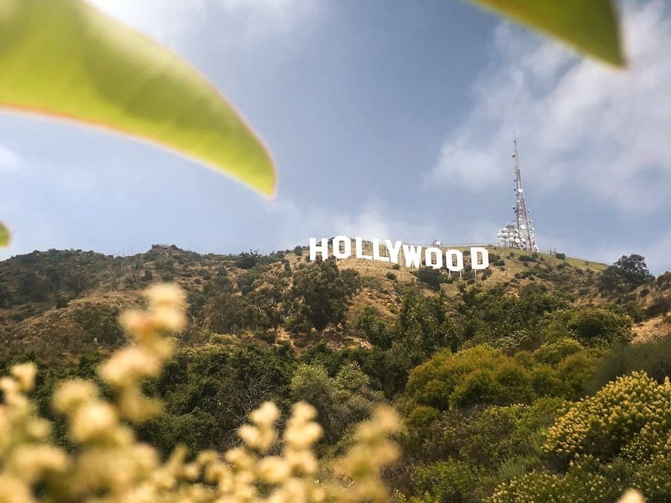 hollywood sign