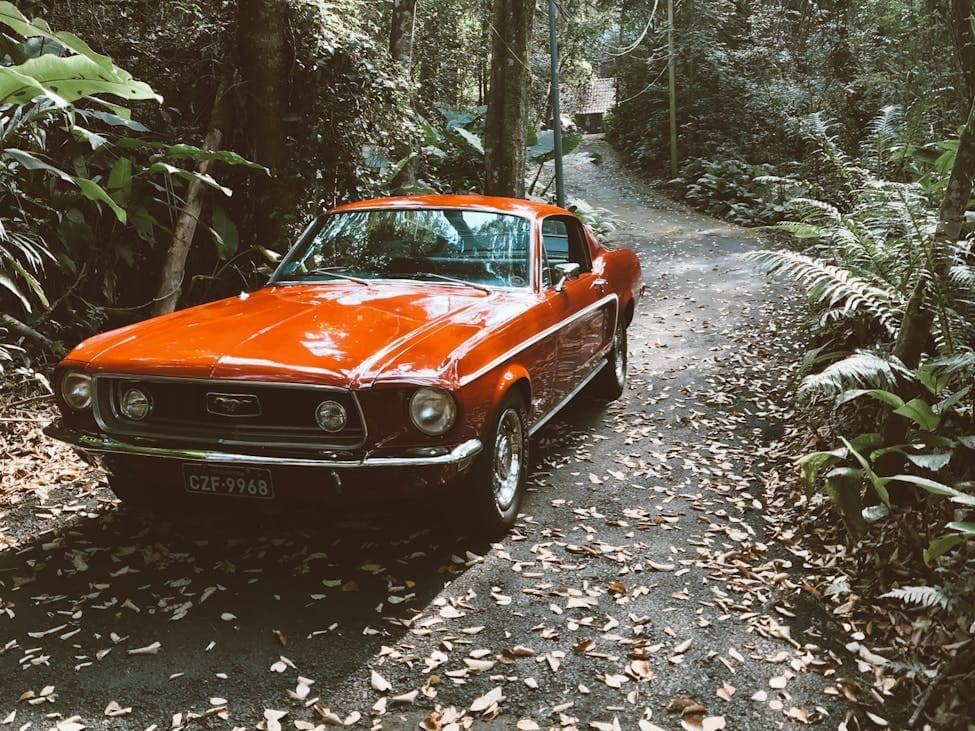 red and black ford mustang