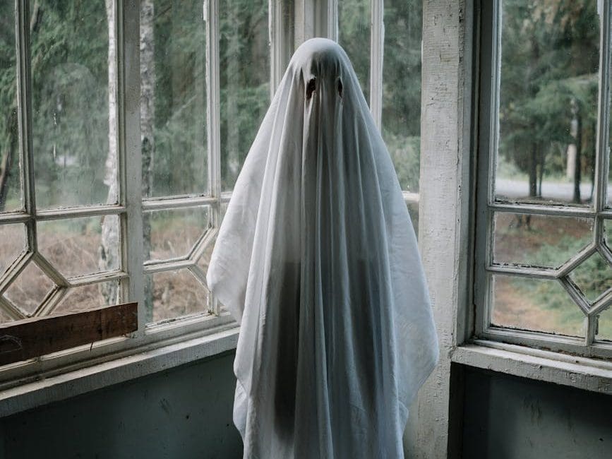 Apparition, a platform founded by Bob Berney in 2009, is another short-lived cautionary tale of film distribution.